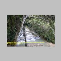 38608 13 059 Dunn´s River Falls, Ocho Rios Jamaica, Karibik-Kreuzfahrt 2020.JPG